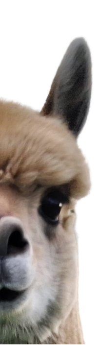 This image for Image Layouts addon